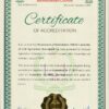 buydegree from the Université Nationale d'Agriculture