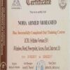 Buy college degree from The Ain Shams University