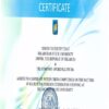 Buy college degree from the Belarusian State Agrarian Technical University