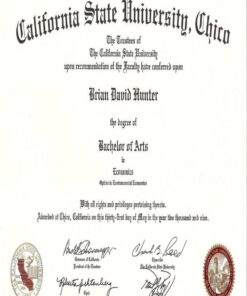 Buy college degree from The California State University, Chico
