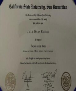 Buy college degree from The California State University, San Bernardino