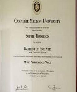 Buy college degree from The Carnegie Mellon University
