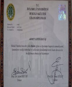 Buy college degree from the Istanbul Üniversitesi