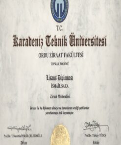 Buy college degree from the Karadeniz Teknik Üniversitesi