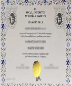 Buy college degree from the Kocaeli Üniversitesi