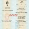 Buy college degree from the St. Petersburg State University
