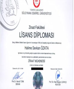 Buy college degree from the Süleyman Demirel Üniversitesi