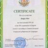 Buy college degree from the Tomsk Polytechnic University