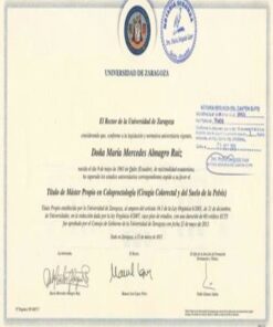 Buy college degree from the Universidad de Zaragoza