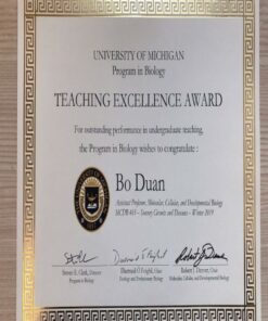 Buy college degree from The University of Michigan