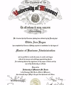 Buy college degree from The University of Missouri-St. Louis