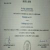 Buy college degree from The Vysoká škola ekonomická v Praze